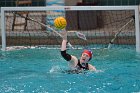 WWPolo vs CC  Wheaton College Women’s Water Polo vs Connecticut College. - Photo By: KEITH NORDSTROM : Wheaton, water polo